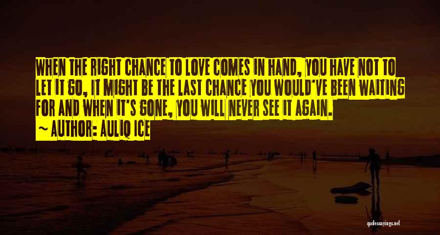 Never Let You Go Again Quotes By Auliq Ice