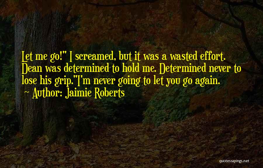 Never Let You Go Again Quotes By Jaimie Roberts