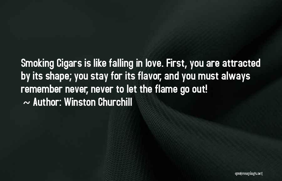 Never Let You Go Love Quotes By Winston Churchill