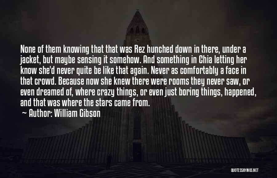 Never Letting Someone Down Quotes By William Gibson