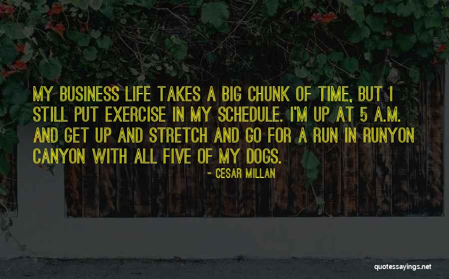 Never Letting Your Guard Down Quotes By Cesar Millan Never Letting Your Guard Down Quotes By Cesar Millan