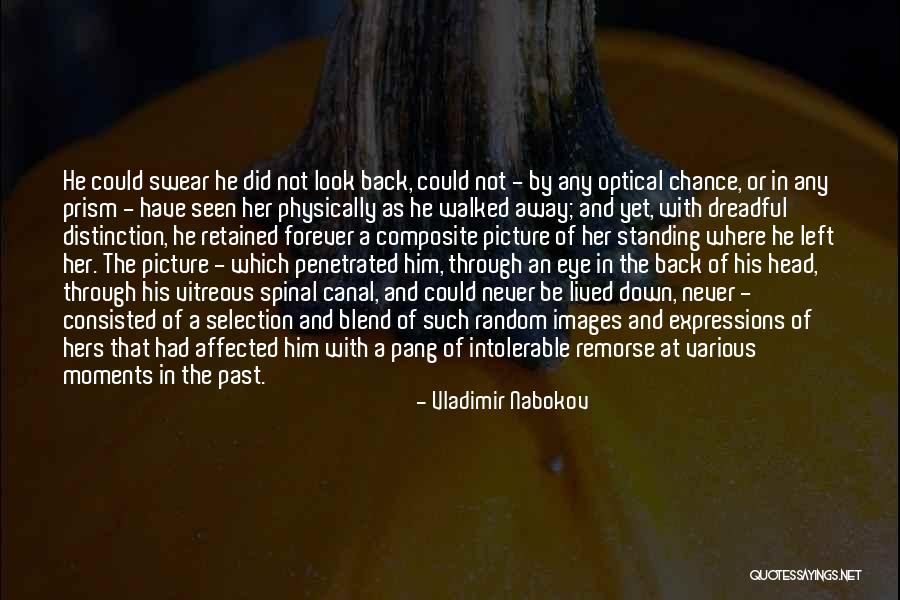 Never Look Back Picture Quotes By Vladimir Nabokov Never Look Back Picture Quotes By Vladimir Nabokov