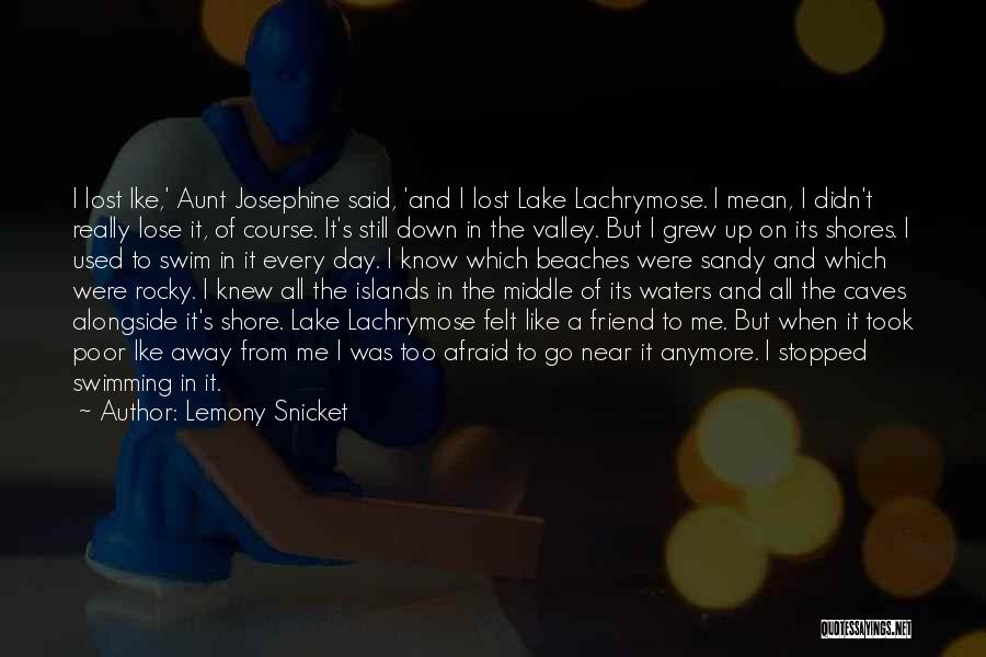 Never Look Down On Me Quotes By Lemony Snicket