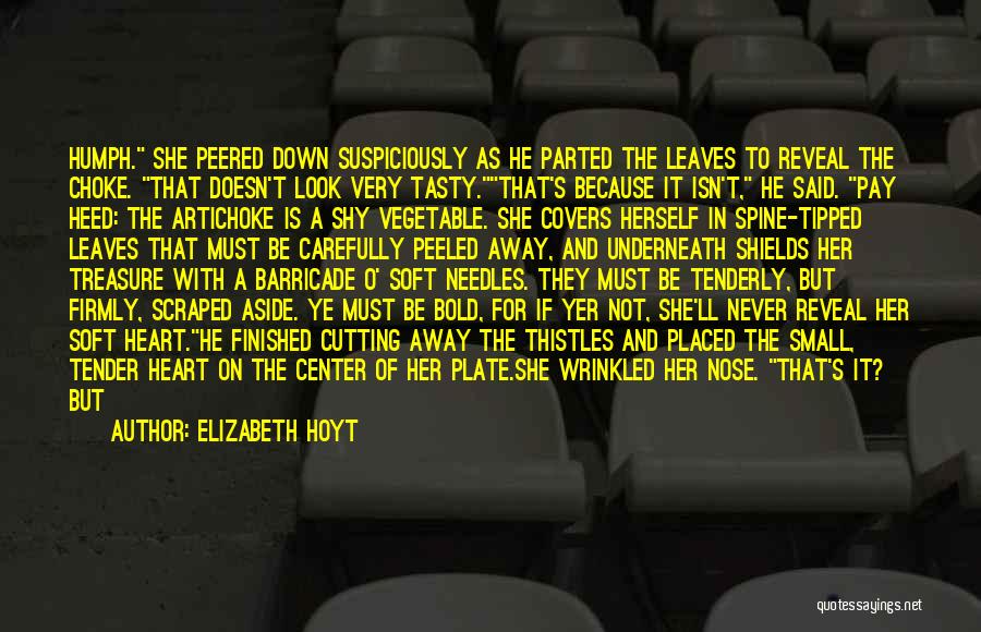Never Look Down Quotes By Elizabeth Hoyt