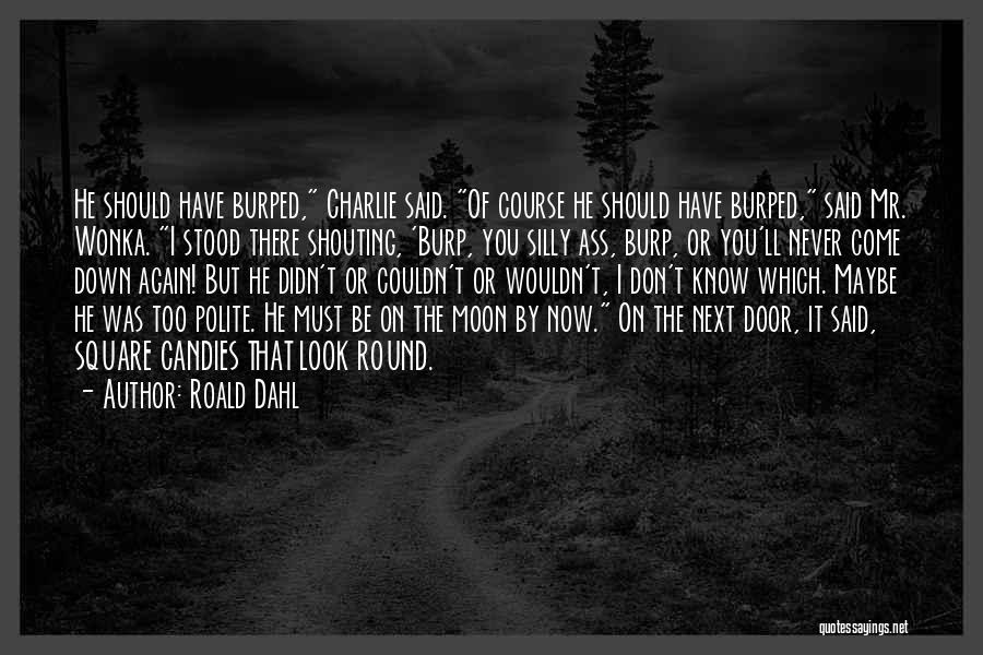 Never Look Down Quotes By Roald Dahl
