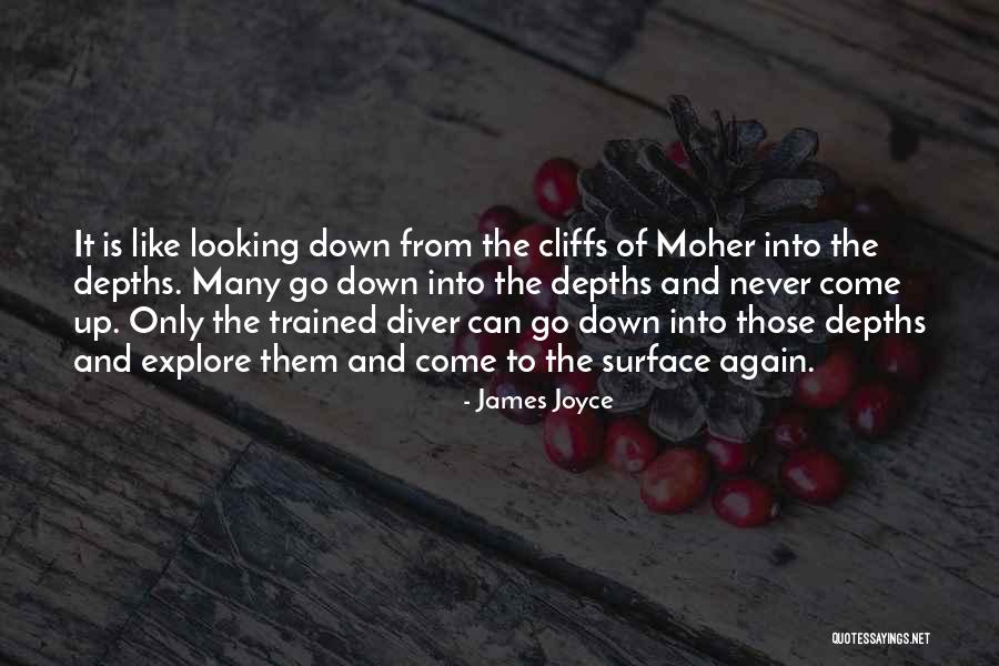 Never Looking Down Quotes By James Joyce