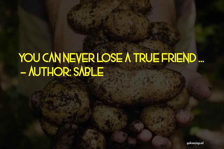 Never Lose Friendship Quotes By Sable