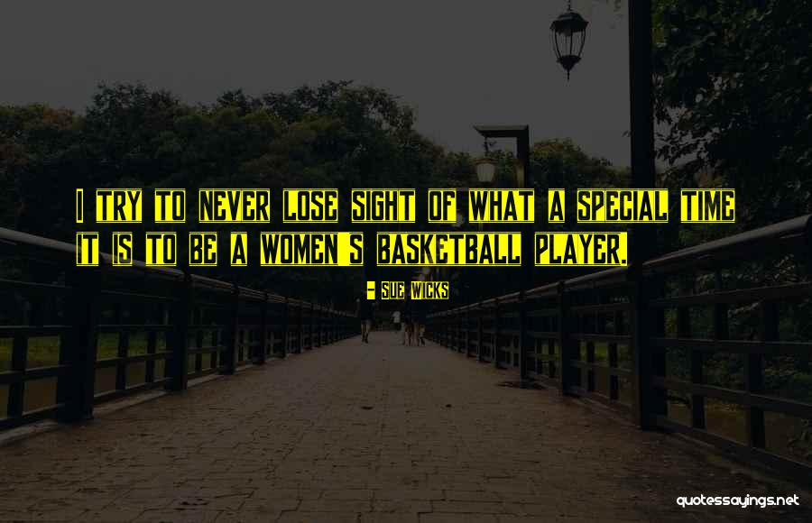 Never Lose Sight Quotes By Sue Wicks Never Lose Sight Quotes By Sue Wicks