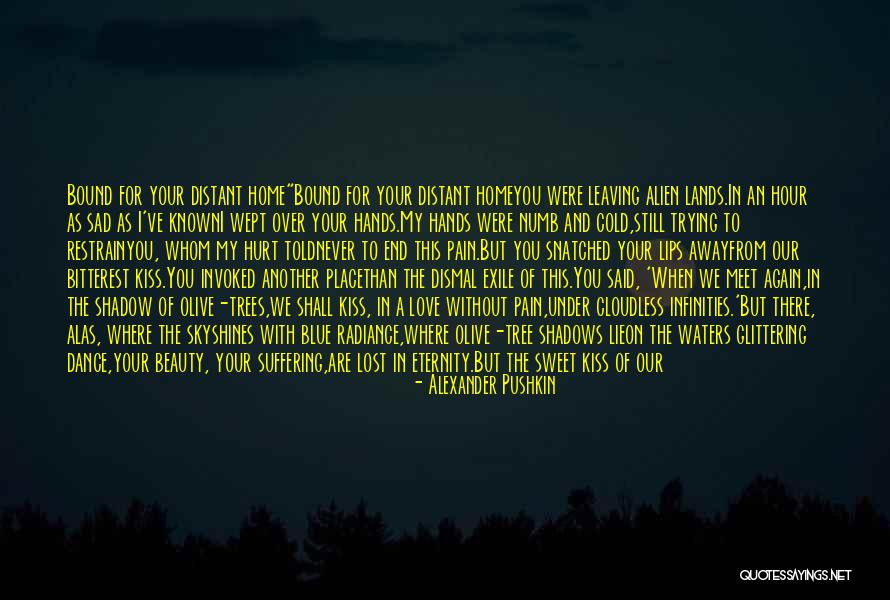 Never Love Again Quotes By Alexander Pushkin Never Love Again Quotes By Alexander Pushkin