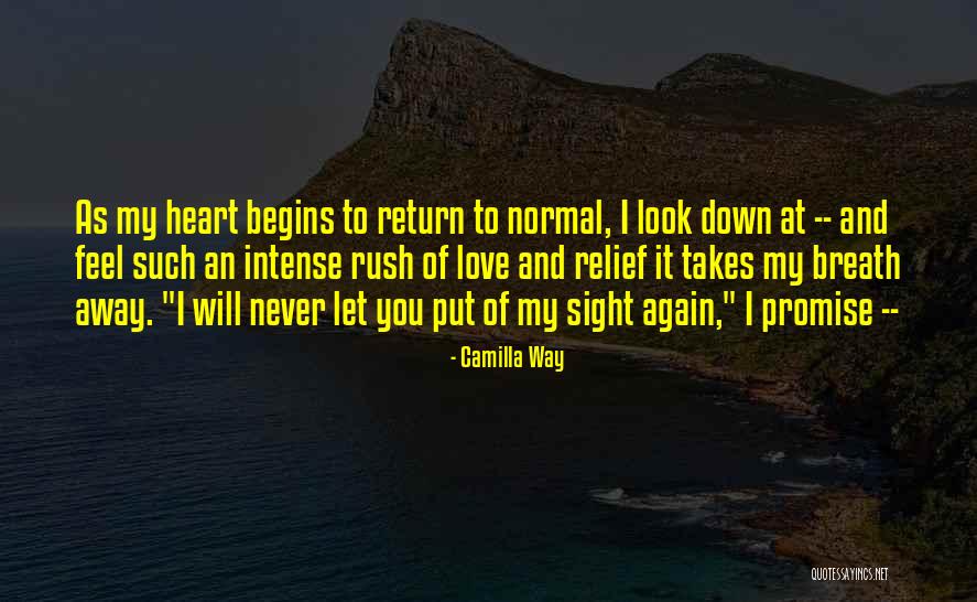 Never Love Again Quotes By Camilla Way Never Love Again Quotes By Camilla Way