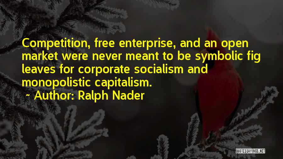 Never Meant Quotes By Ralph Nader