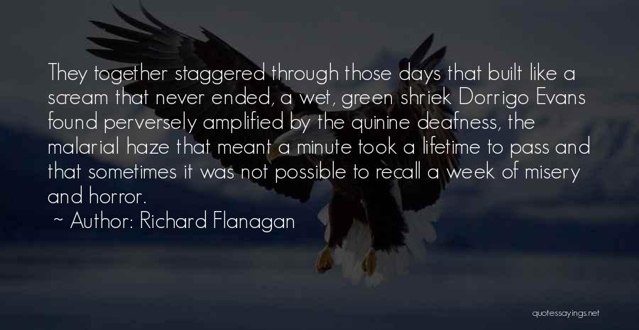 Never Meant Quotes By Richard Flanagan