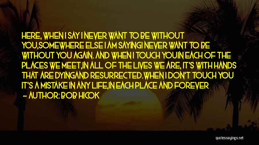 Never Meet Again Quotes By Bob Hicok