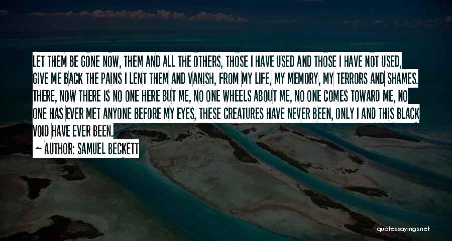 Never Met Before Quotes By Samuel Beckett