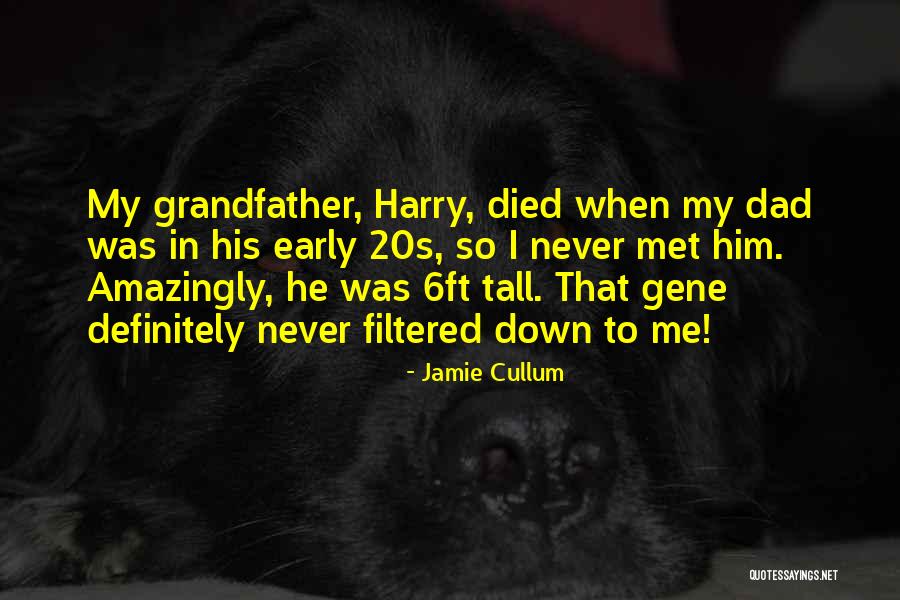 Never Met My Dad Quotes By Jamie Cullum Never Met My Dad Quotes By Jamie Cullum
