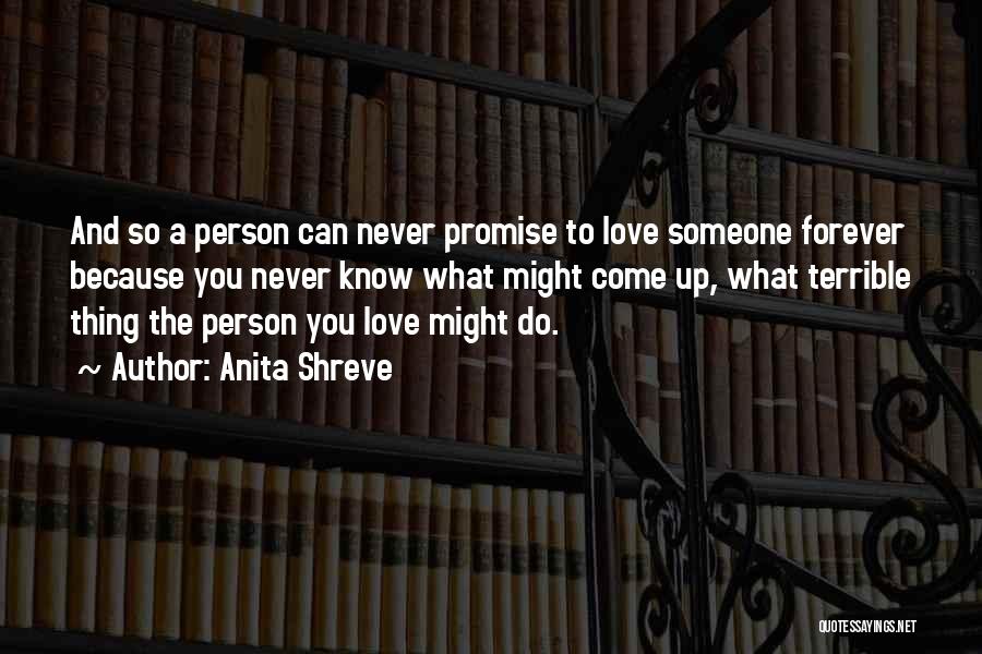 Never Promise Forever Quotes By Anita Shreve