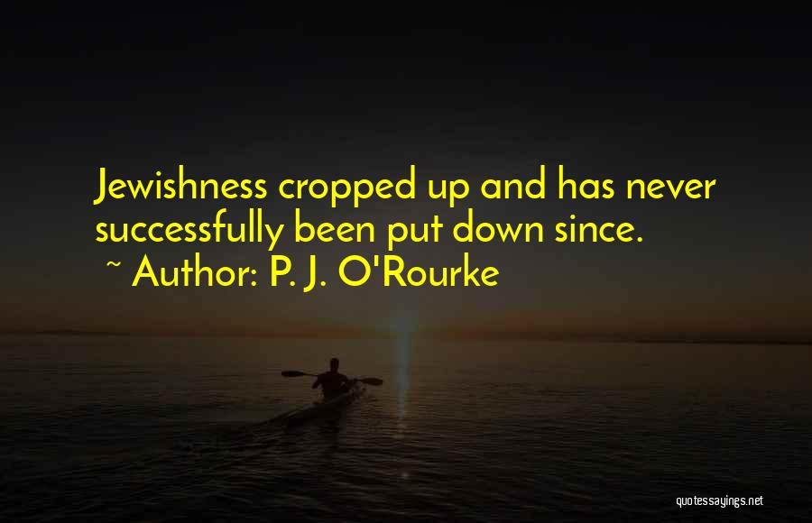 Never Put Down Quotes By P. J. O'Rourke