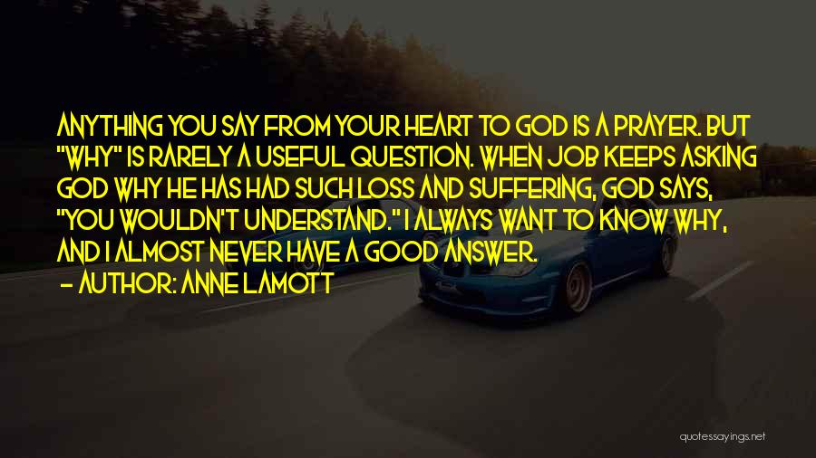 Never Question Why Quotes By Anne Lamott
