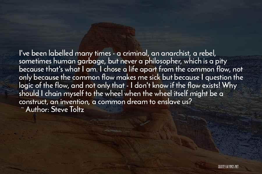 Never Question Why Quotes By Steve Toltz