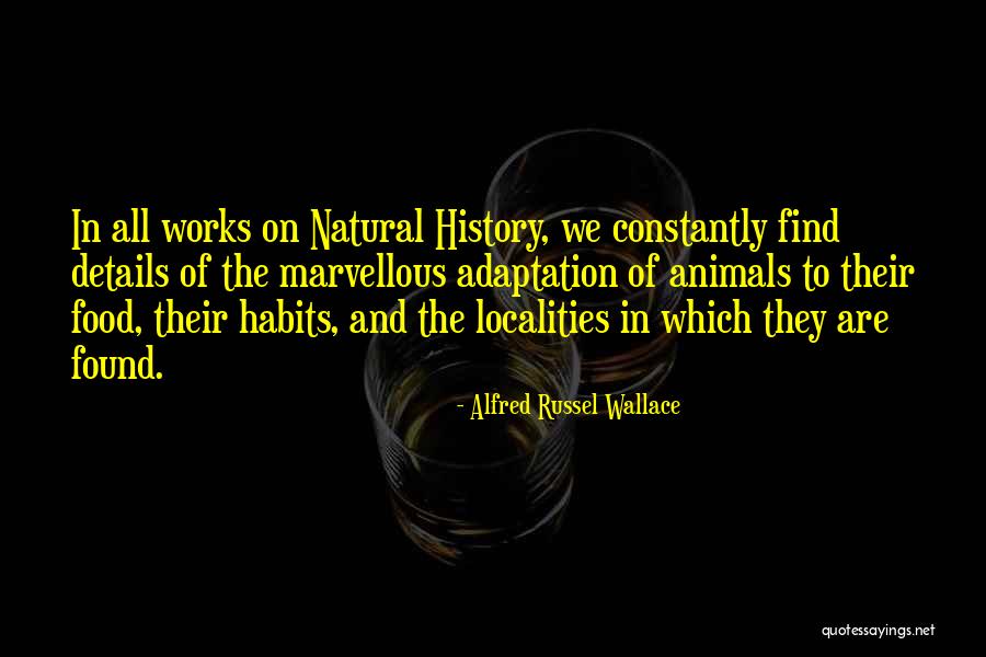 Never Quit Relationship Quotes By Alfred Russel Wallace Never Quit Relationship Quotes By Alfred Russel Wallace