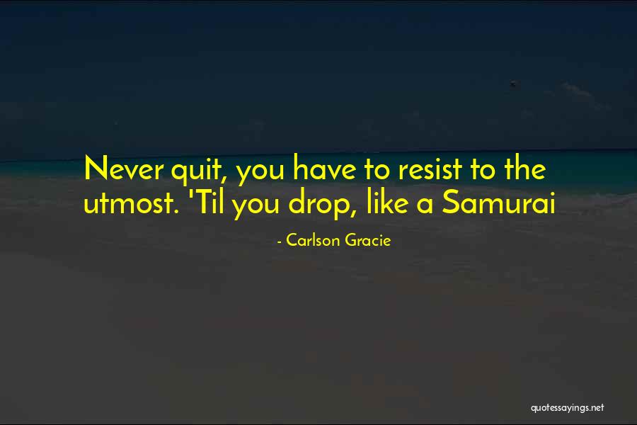 Never Quitting Quotes By Carlson Gracie