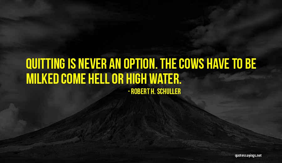 Never Quitting Quotes By Robert H. Schuller Never Quitting Quotes By Robert H. Schuller