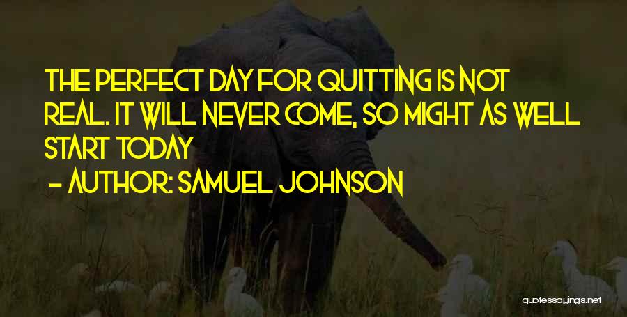 Never Quitting Quotes By Samuel Johnson