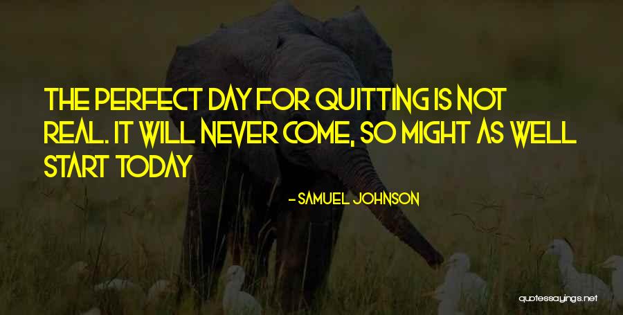 Never Quitting Quotes By Samuel Johnson