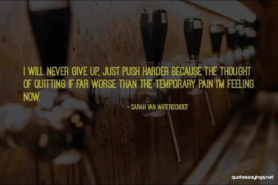 Never Quitting Quotes By Sarah Van Waterschoot