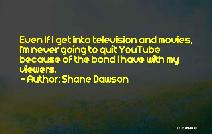 Never Quitting Quotes By Shane Dawson