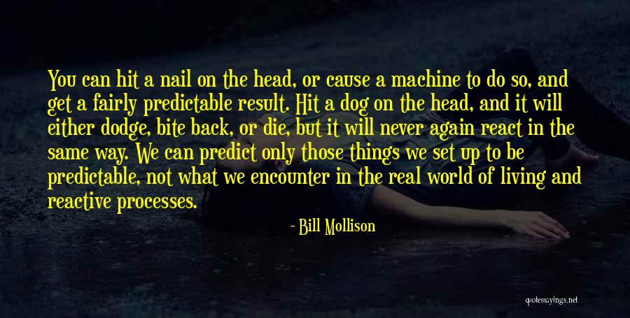 Never React Quotes By Bill Mollison Never React Quotes By Bill Mollison