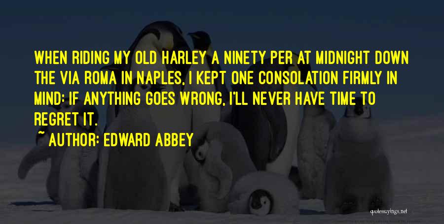 Never Regret Anything Quotes By Edward Abbey