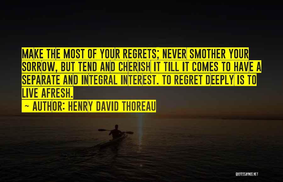 Never Regret Quotes By Henry David Thoreau