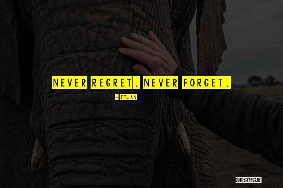 Never Regret Quotes By Tijan