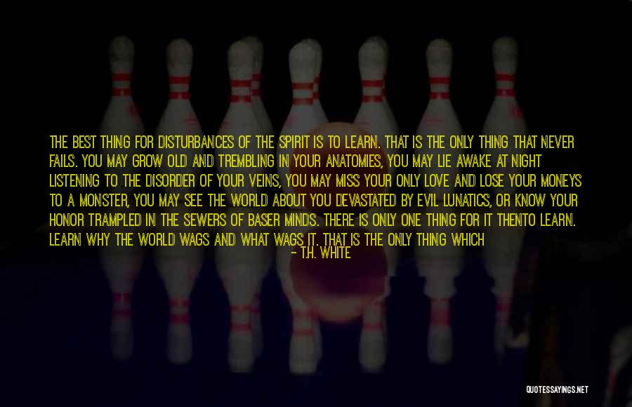 Never Regretting Love Quotes By T.H. White Never Regretting Love Quotes By T.H. White