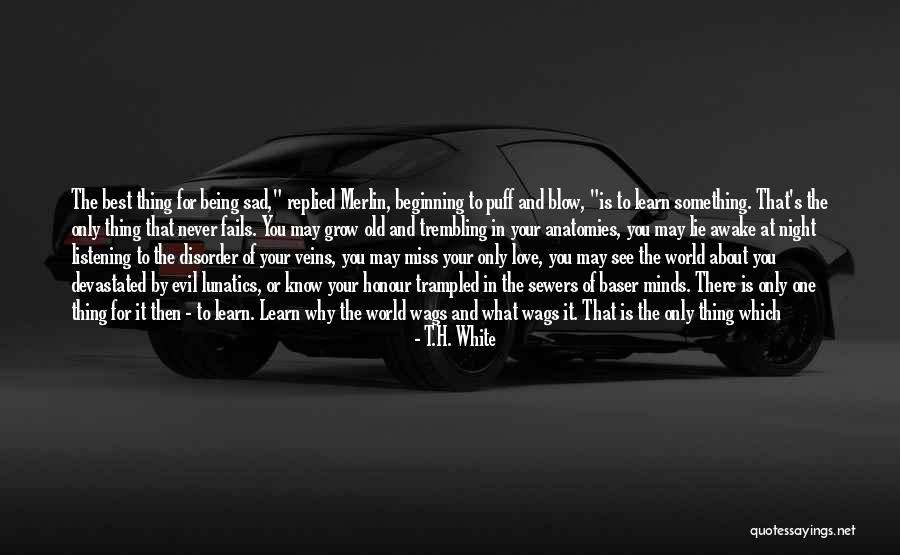 Never Regretting Love Quotes By T.H. White Never Regretting Love Quotes By T.H. White