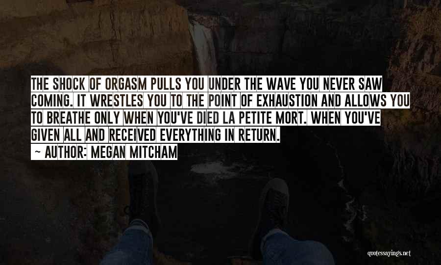 Never Saw It Coming Quotes By Megan Mitcham