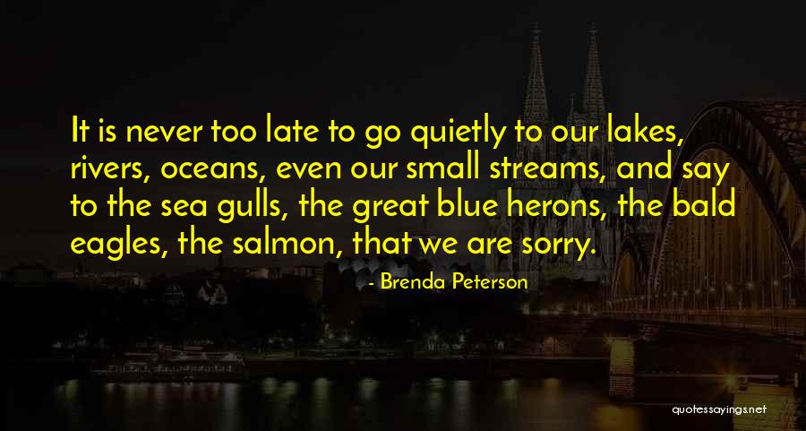 Never Say Sorry Quotes By Brenda Peterson Never Say Sorry Quotes By Brenda Peterson