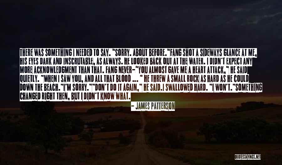 Never Say Sorry Quotes By James Patterson