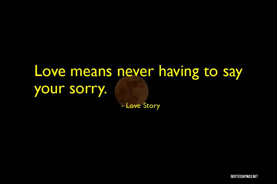 Never Say Sorry Quotes By Love Story