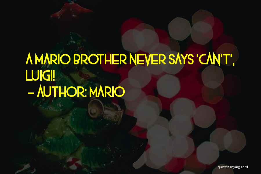Never Says Quotes By Mario