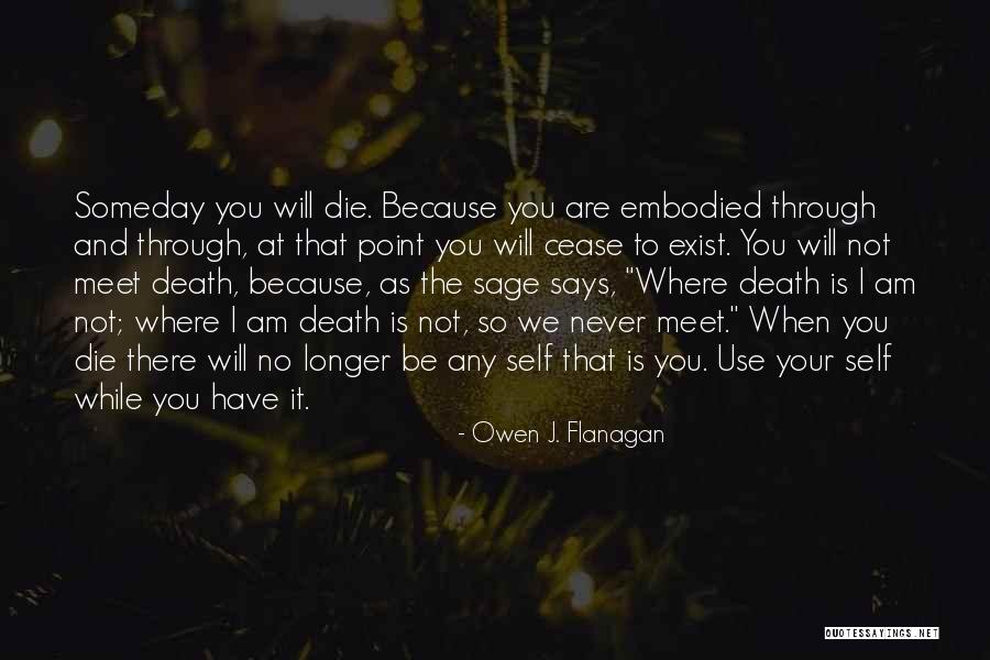 Never Says Quotes By Owen J. Flanagan