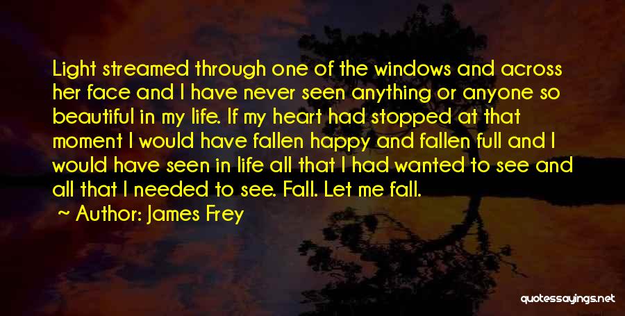 Never See Me Fall Quotes By James Frey
