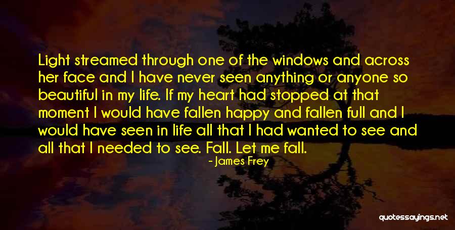 Never See Me Fall Quotes By James Frey