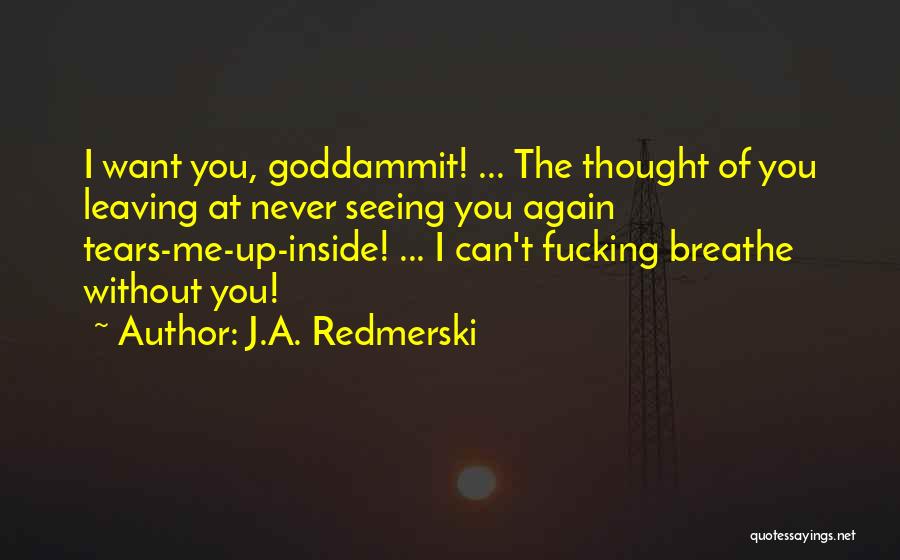 Never Seeing Someone Again Quotes By J.A. Redmerski