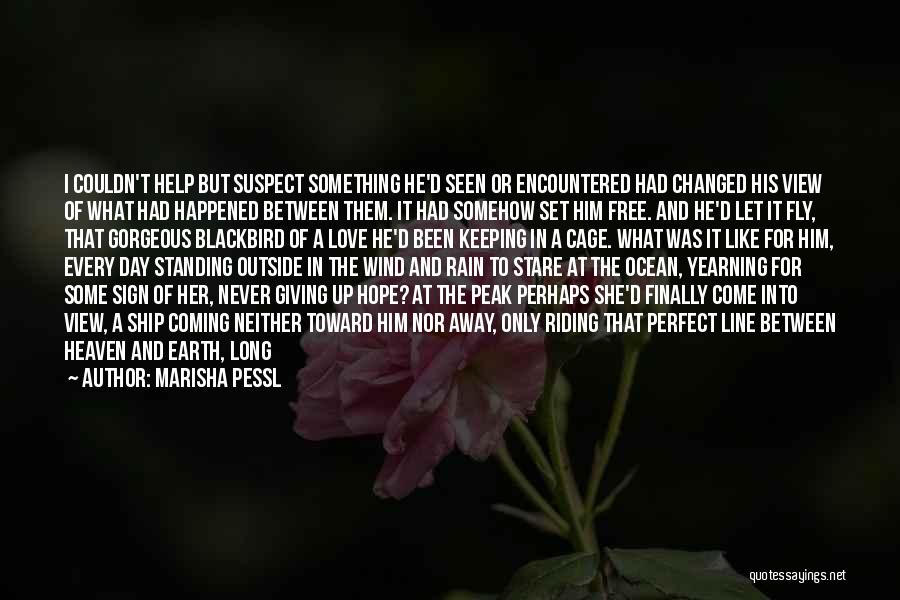 Never Seen Before Love Quotes By Marisha Pessl
