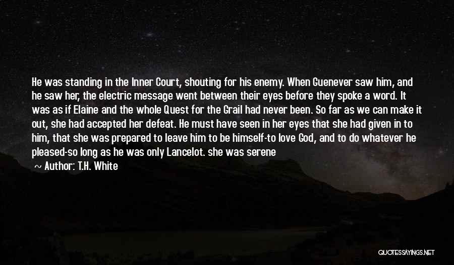 Never Seen Before Love Quotes By T.H. White