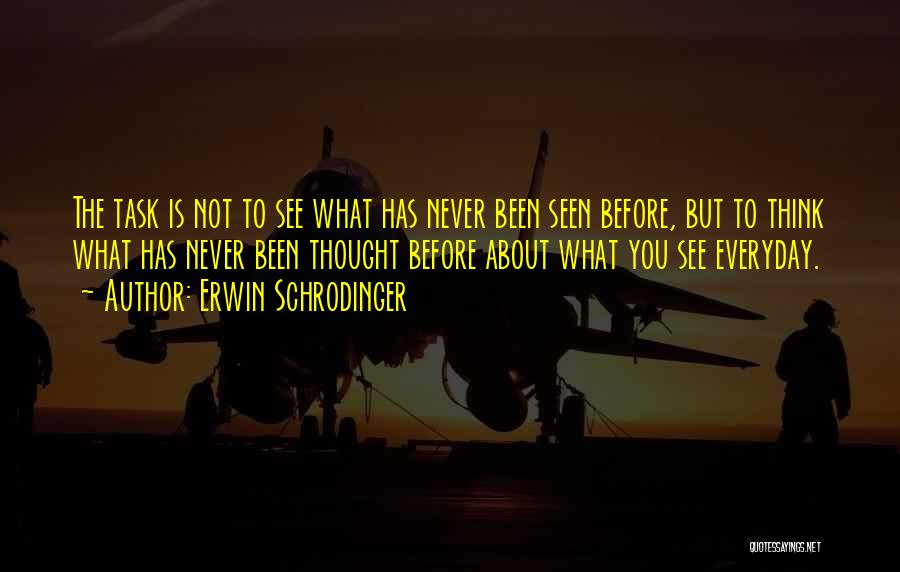 Never Seen You Quotes By Erwin Schrodinger