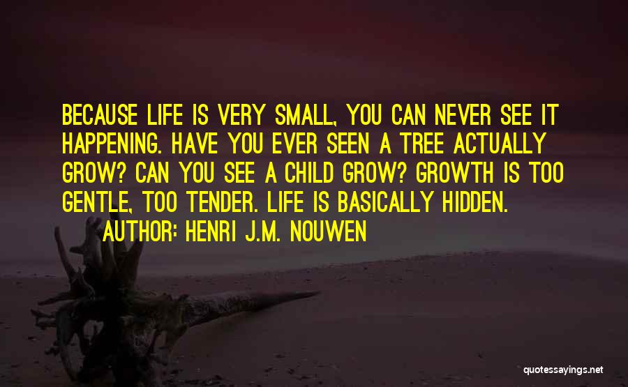 Never Seen You Quotes By Henri J.M. Nouwen