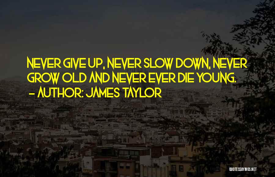 Never Slow Down Quotes By James Taylor